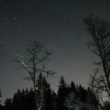 Delicias celestes: El cielo nocturno de febrero ofrece un espectáculo estelar