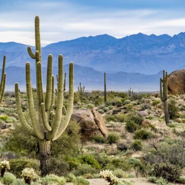 Visado para Arizona